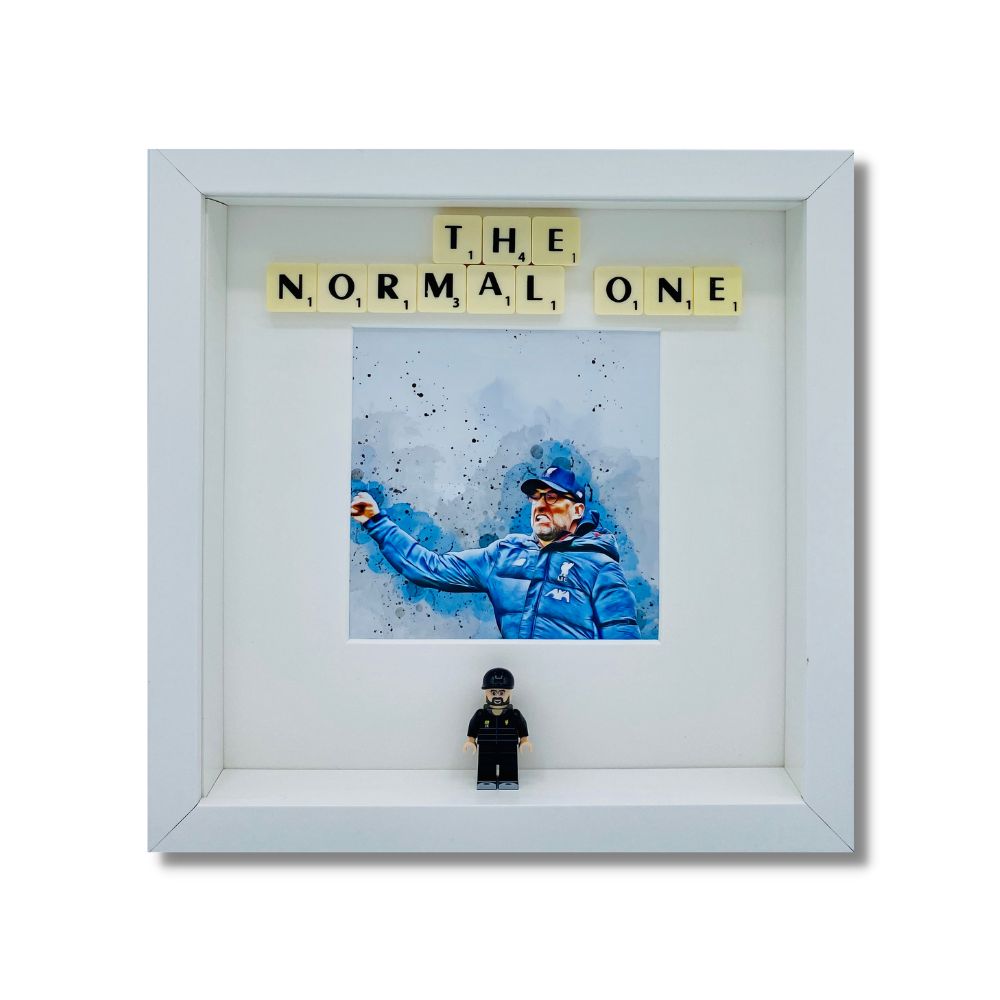 Picture frame"The Normal One"