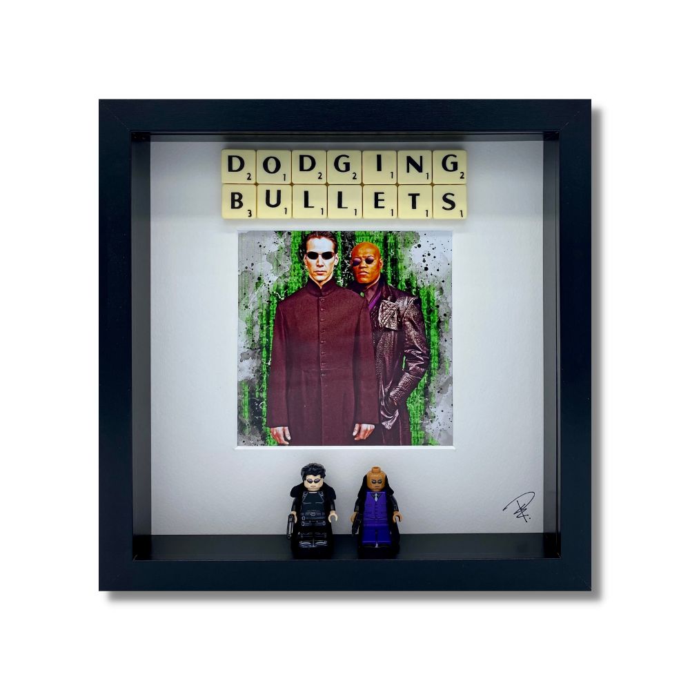 "Dodging Bullets"picture frame