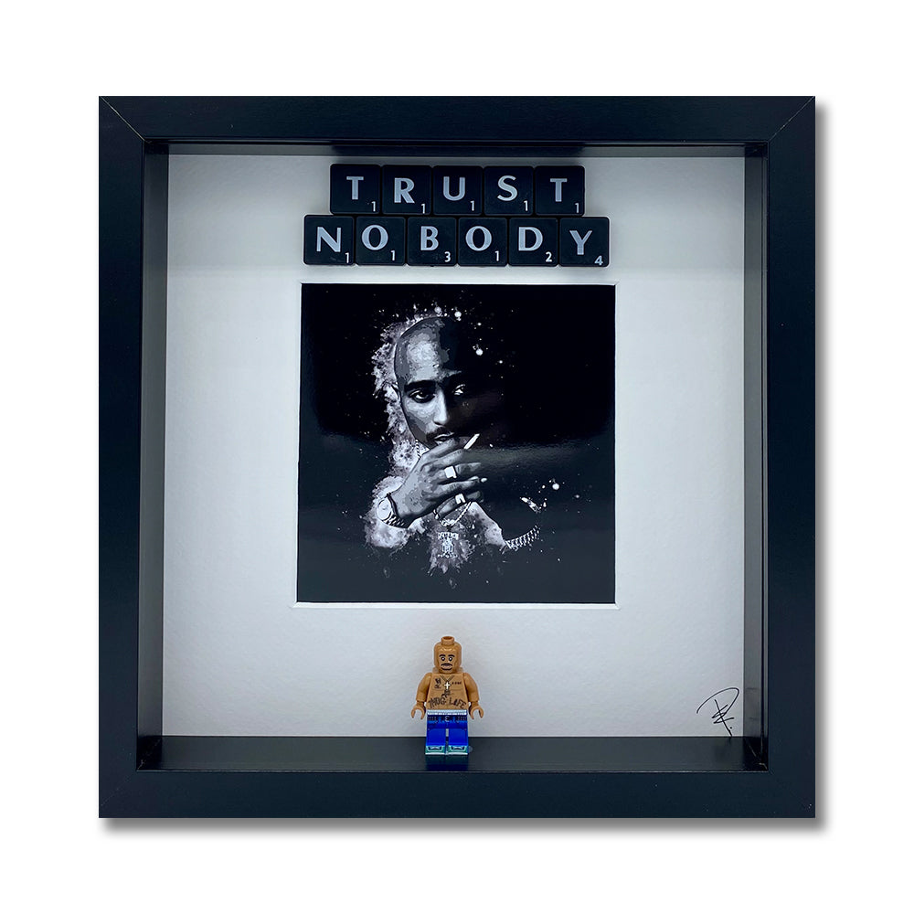 Picture frame "Trust Nobody"